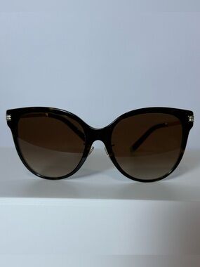 Tiffany & Co. Women's Brown Gradient Cat-Eye Sunglasses